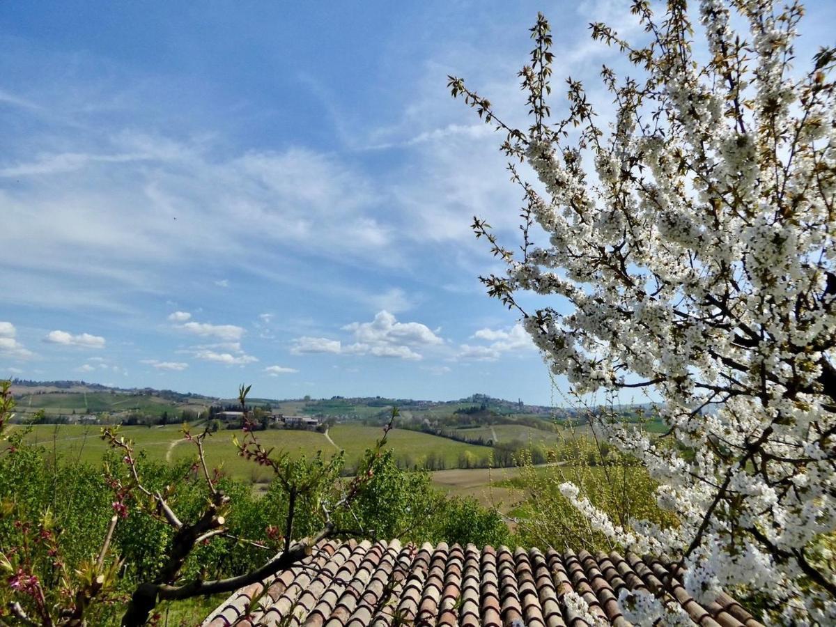 Agriturismo Bottega Di Rosanna Castagnole delle Lanze Zewnętrze zdjęcie